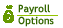 Payroll Options